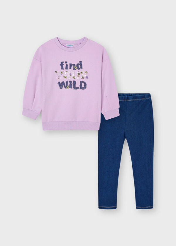 Conjunto 4747